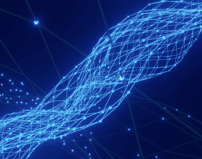 GOINFO INTERNATIONAL LIMITED