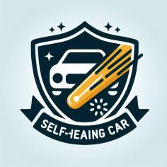 Paint Protection Film